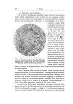 giornale/PUV0110166/1934/V.37/00000576