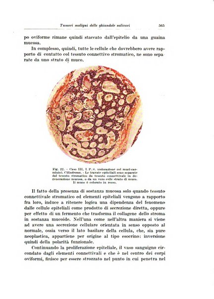 Archivio italiano di chirurgia