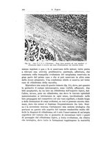 giornale/PUV0110166/1934/V.37/00000594