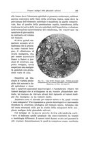 giornale/PUV0110166/1934/V.37/00000595