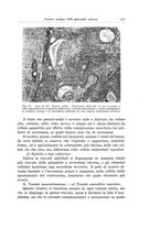 giornale/PUV0110166/1934/V.37/00000597