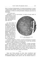 giornale/PUV0110166/1934/V.37/00000599