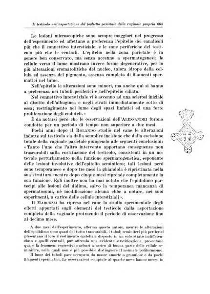 Archivio italiano di chirurgia