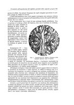 giornale/PUV0110166/1934/V.37/00000701