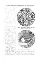 giornale/PUV0110166/1934/V.37/00000709