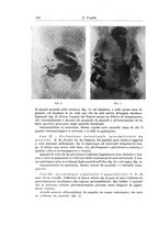 giornale/PUV0110166/1934/V.37/00000766