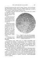 giornale/PUV0110166/1934/V.37/00000787