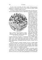 giornale/PUV0110166/1934/V.37/00000790