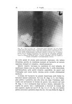 giornale/PUV0110166/1934/V.38/00000066