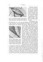 giornale/PUV0110166/1934/V.38/00000096