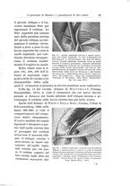 giornale/PUV0110166/1934/V.38/00000099