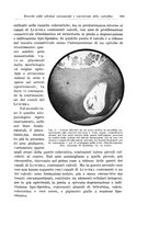 giornale/PUV0110166/1934/V.38/00000321