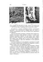 giornale/PUV0110166/1934/V.38/00000324