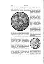 giornale/PUV0110166/1934/V.38/00000336