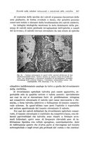 giornale/PUV0110166/1934/V.38/00000345