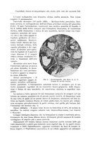 giornale/PUV0110166/1934/V.38/00000359