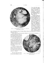 giornale/PUV0110166/1934/V.38/00000360