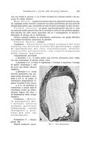 giornale/PUV0110166/1934/V.38/00000427
