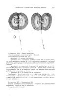 giornale/PUV0110166/1934/V.38/00000439