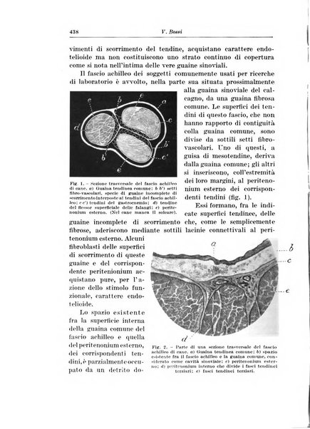 Archivio italiano di chirurgia