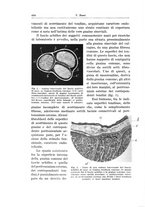 giornale/PUV0110166/1934/V.38/00000460