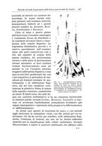 giornale/PUV0110166/1934/V.38/00000469