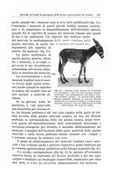 giornale/PUV0110166/1934/V.38/00000479