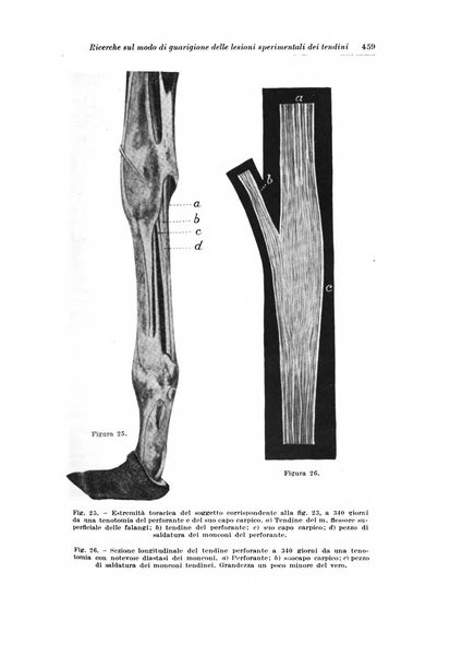 Archivio italiano di chirurgia