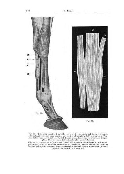 Archivio italiano di chirurgia