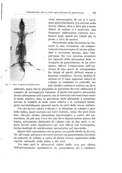 Archivio italiano di chirurgia