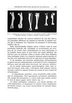 giornale/PUV0110166/1934/V.38/00000527