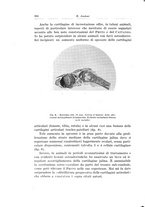 giornale/PUV0110166/1934/V.38/00000528