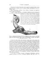 giornale/PUV0110166/1934/V.38/00000578