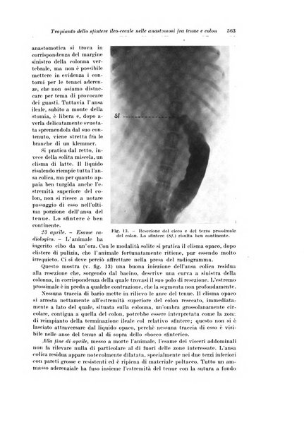 Archivio italiano di chirurgia