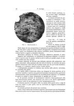 giornale/PUV0110166/1935/V.39/00000048