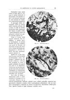 giornale/PUV0110166/1935/V.39/00000053