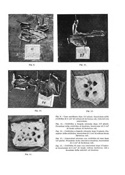 Archivio italiano di chirurgia