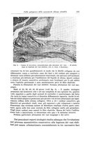giornale/PUV0110166/1935/V.39/00000147