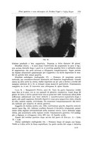giornale/PUV0110166/1935/V.39/00000185