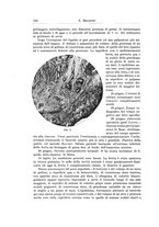 giornale/PUV0110166/1935/V.39/00000194