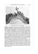 giornale/PUV0110166/1935/V.39/00000223