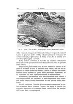 giornale/PUV0110166/1935/V.39/00000544