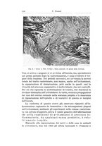 giornale/PUV0110166/1935/V.39/00000546