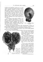 giornale/PUV0110166/1935/V.39/00000817