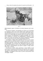 giornale/PUV0110166/1935/V.40/00000041