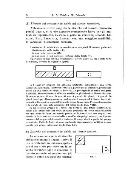 Archivio italiano di chirurgia