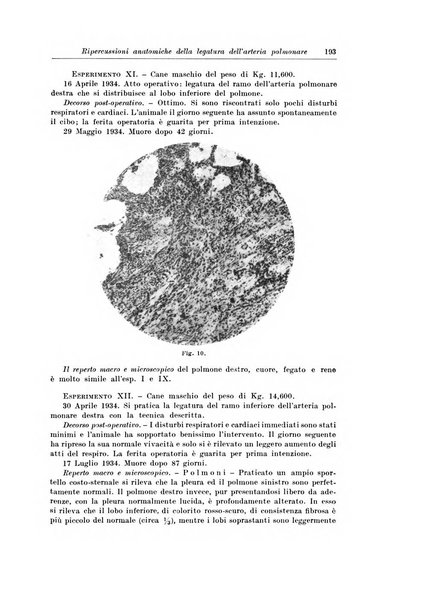 Archivio italiano di chirurgia