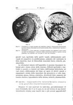 giornale/PUV0110166/1935/V.40/00000344