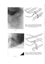 giornale/PUV0110166/1935/V.40/00000430