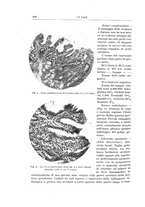 giornale/PUV0110166/1935/V.40/00000488